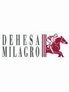  DEHESA DE MILAGRO S.L.