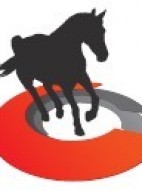 CONFORT CHEVAL