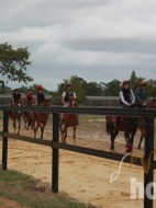 HORSERAIL FRANCE - CCN